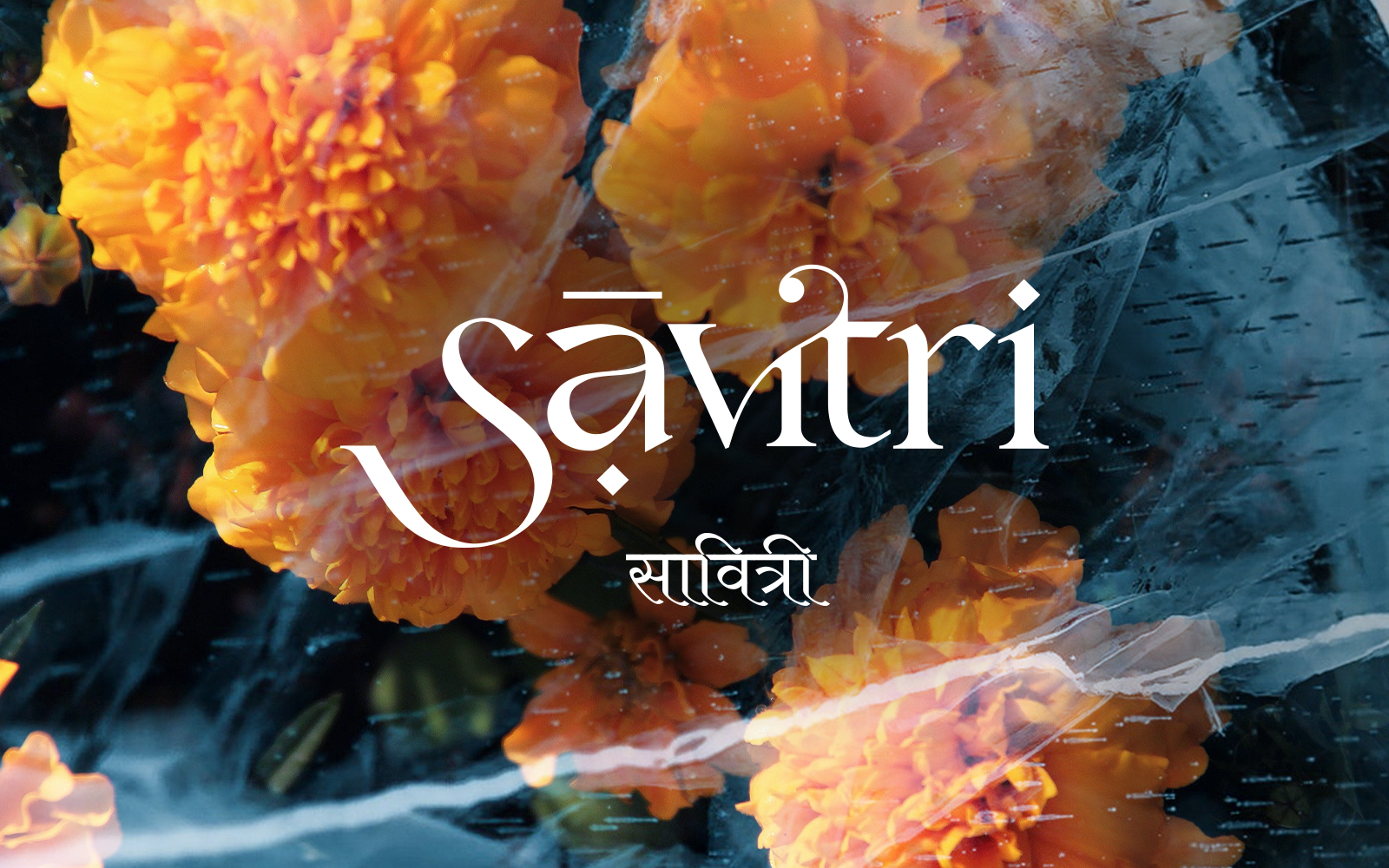 Savitri Banner ATG